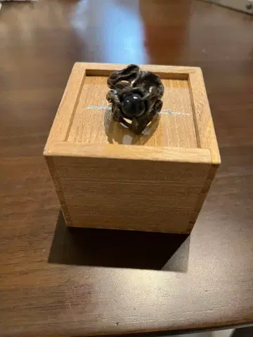 [주말 할인] Taujan 링 케어스마림 #13호