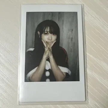 쿠루스 린 폴라로이드 폴라로이드