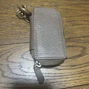 키케이스 라르코발레노