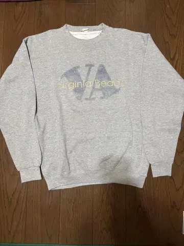 Virginia Beach 맨투맨 그레이 USA제 80년대?