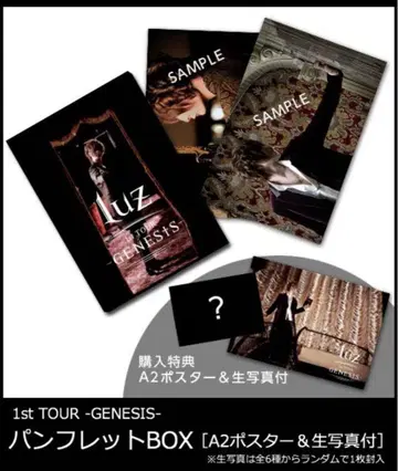 luz 1st tour GENESIS 팜플렛 BOX 포스터 & 사진 포함