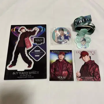 세계 굿즈 세트