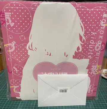 츠지나카 미호 피규어