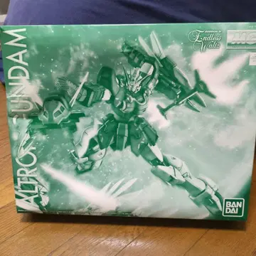 반다이 MG 1/100 알트론 건담 EW
