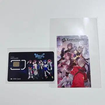 CR 페스 2025 입장 특전 스티커 SIM 카드
