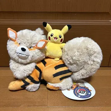 포켓몬 봉제인형 윈디와 피카츄 포켓몬 센터 오키나와 한정판
