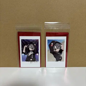 Crazy Raccoon 토토믹스
