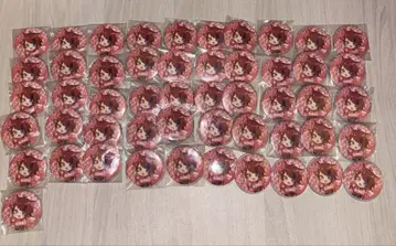 스토푸리 리이누 군 캔뱃지 모음