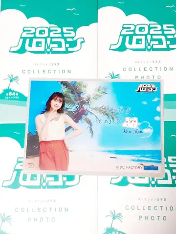 하로! 콘 2025 콜렉트 사진 츠바키 팩토리 후쿠다 마린