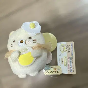 스미코구라시 손바닥 봉제 인형 고양이