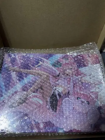 하쿠이 코요리 캔버스 아트