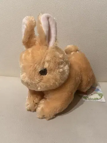 토끼 네덜란드 드워프 봉제 인형 다이토 한정판 새상품급