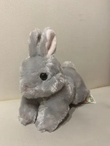 네덜란드 드워프 봉제 인형 다이토 한정판 새상품급