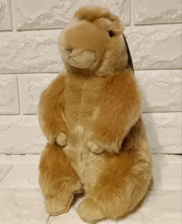 프레리독 봉제 인형
