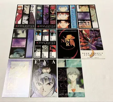 신세기 에반게리온 더블 씰 엽서 11매