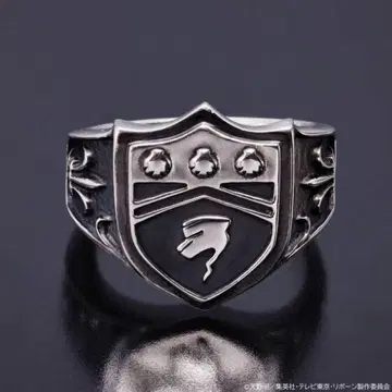 가정교사 히트맨 REBORN! 폭풍의 봉고레 링 15호 고쿠데라 하야토