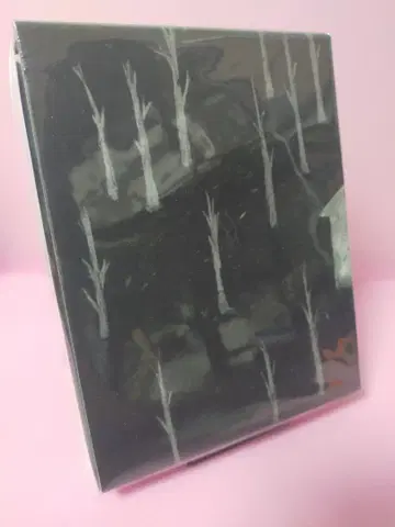 늑대의 집 호화판 ('18 칠레) <초회 생산 한정> Blu-ray