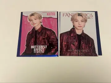 기무라 케이토 시크레