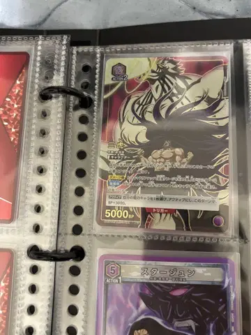 유니온 아레나 삼호 SR 스타 준 SR