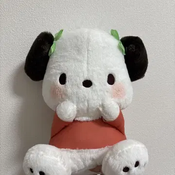 산리오 캐릭터즈 동글동글 귀 BIG 봉제 인형 포차코