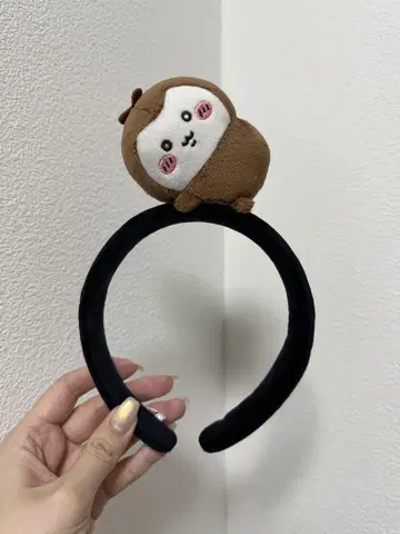 치이카와 파크 장수풍뎅이 머리띠
