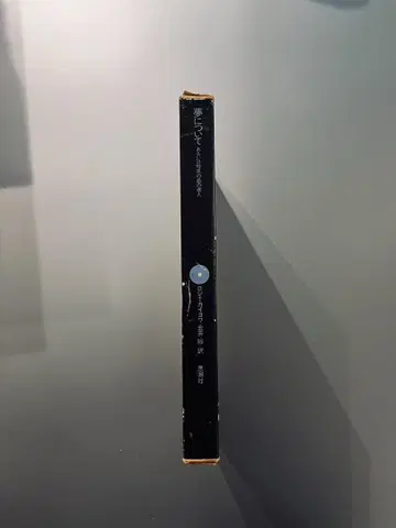 중고 도서 꿈에 대하여, 혹은 암흑의 섬의 포로 로제 카유아