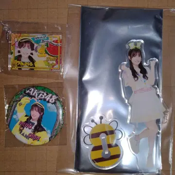 무토 오린 AKB48 다이마루 의상전 랜덤 아크릴 스탠드 등 3종