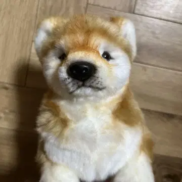 HANSA 한사 봉제 인형 시바견