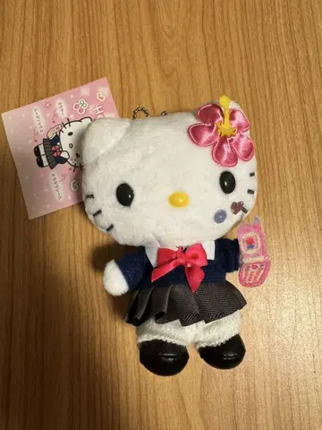두근두근 헤이세이 갸루 시리즈 키티