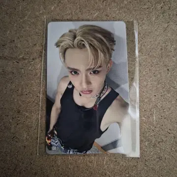 타지마 쇼고 108 트레이딩 카드