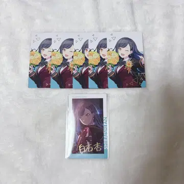 프로세카 시라이시 안 에피카 묶음 판매