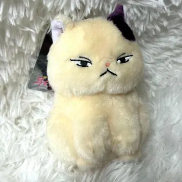 택 포함 새상품 귀를 기울이면 문 봉제 인형 배지 키링