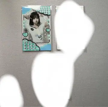 하네자쿠라 모모 우사모모 모모쨩 폴라로이드