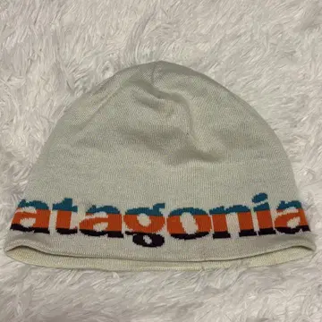 Patagonia 파타고니아 빅 로고 비니 니트 캡