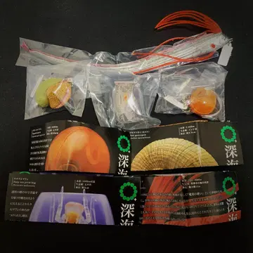 심해생물 마그넷 & 볼체인  가챠
