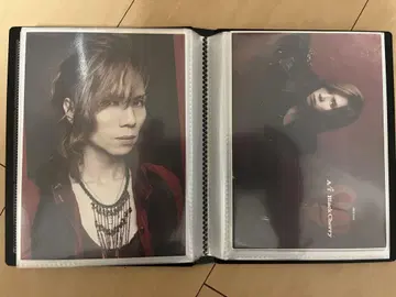 Acid Black Cherry yasu 엽서
