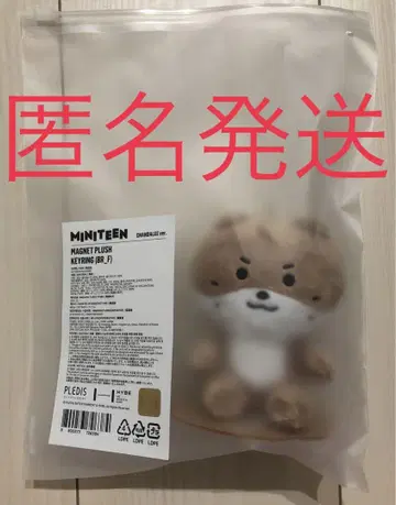 MINITEEN 챤다리 마그넷 키링 디노 세븐틴