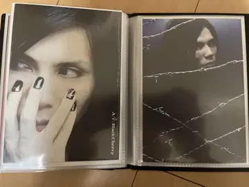 Acid Black Cherry yasu 엽서