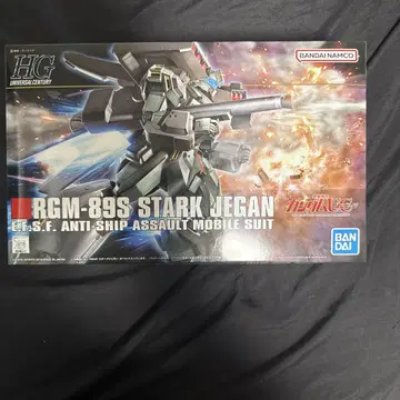 HG 1/144 스타크 제간