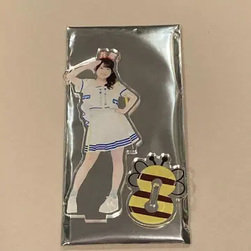 AKB48 팀8 다이마루 의상전 아크릴 스탠드 호테이 모모카