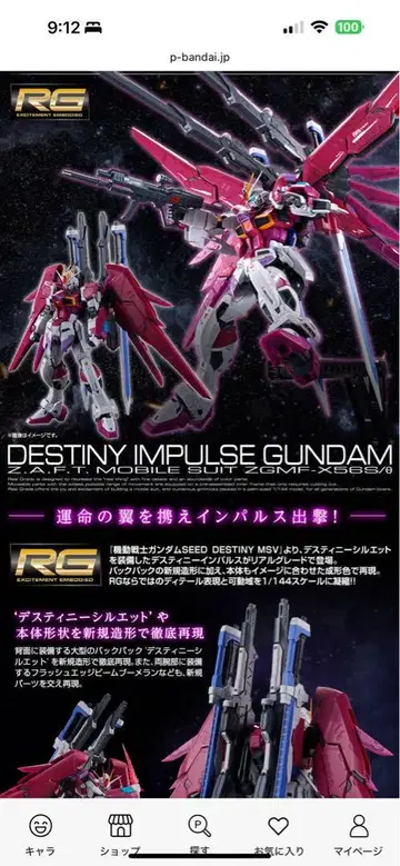 RG 1/144 데스티니 임펄스 건담 미사용 새상품 완전 미개봉