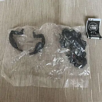생물대도감 전갈