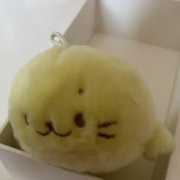 시로탄 참