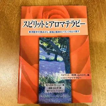 스피릿과 아로마테라피 가브리엘 모제이 저, 마에다 쿠니코 역 레어템