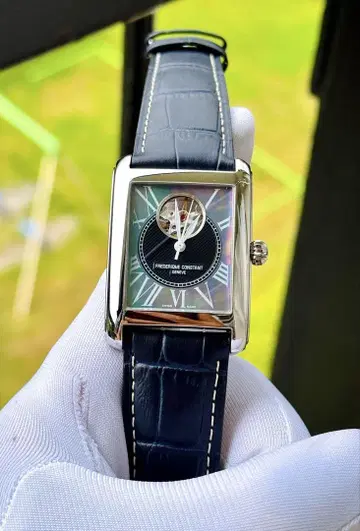 Fc310 limited300p