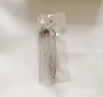 코이즈미 미사키 아크링 키링 라우샤