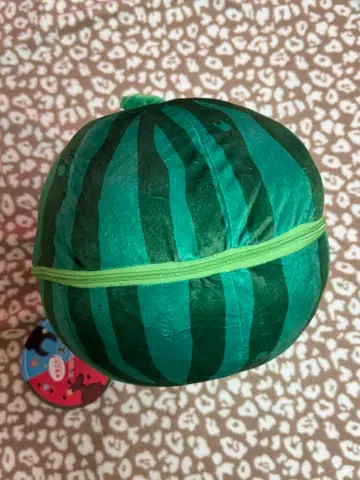 수박 봉제 인형
