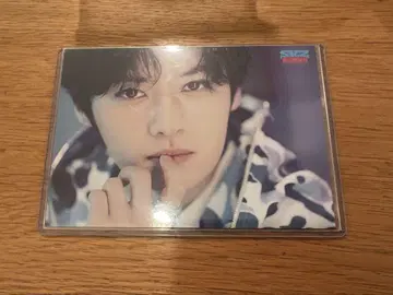 straykids 스키즈 리노 랜트레 팝업 사우나