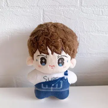 BTS 진 석진 봉제인형 옷 10cm Super Tuna
