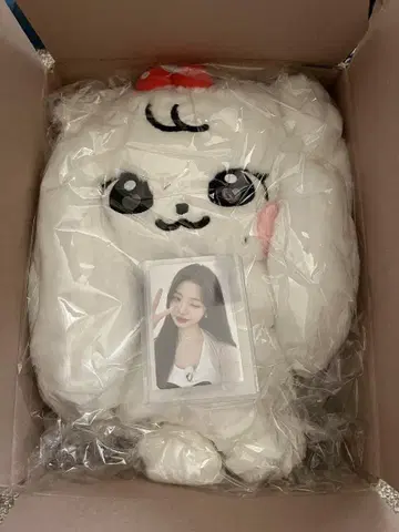 minive ive 봉제 인형 원영 WONYOUNG